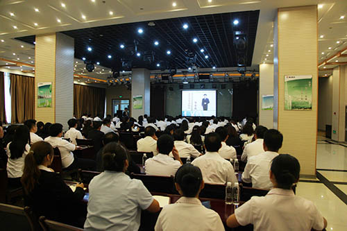 建設(shè)集團開展商務禮儀專題培訓