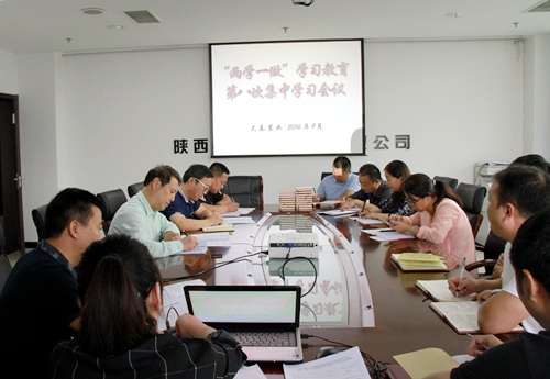 大秦置業(yè)公司 ：“三個三”引領(lǐng)“兩學(xué)一做”學(xué)習(xí)教育常態(tài)化制度化  蓄力“雙特百億”勇爭先