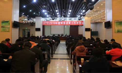 建設(shè)集團、陜南公司召開2018年度財務(wù)決算工作布置會
