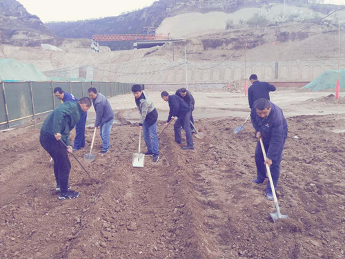 陜煤建設(shè)天工公司土建三部不負(fù)時(shí)光“務(wù)農(nóng)”  豐富員工餐桌