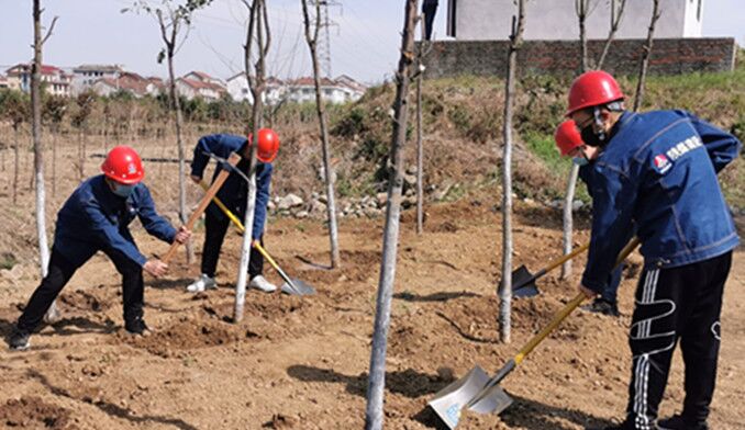 今天你植樹了嗎？
