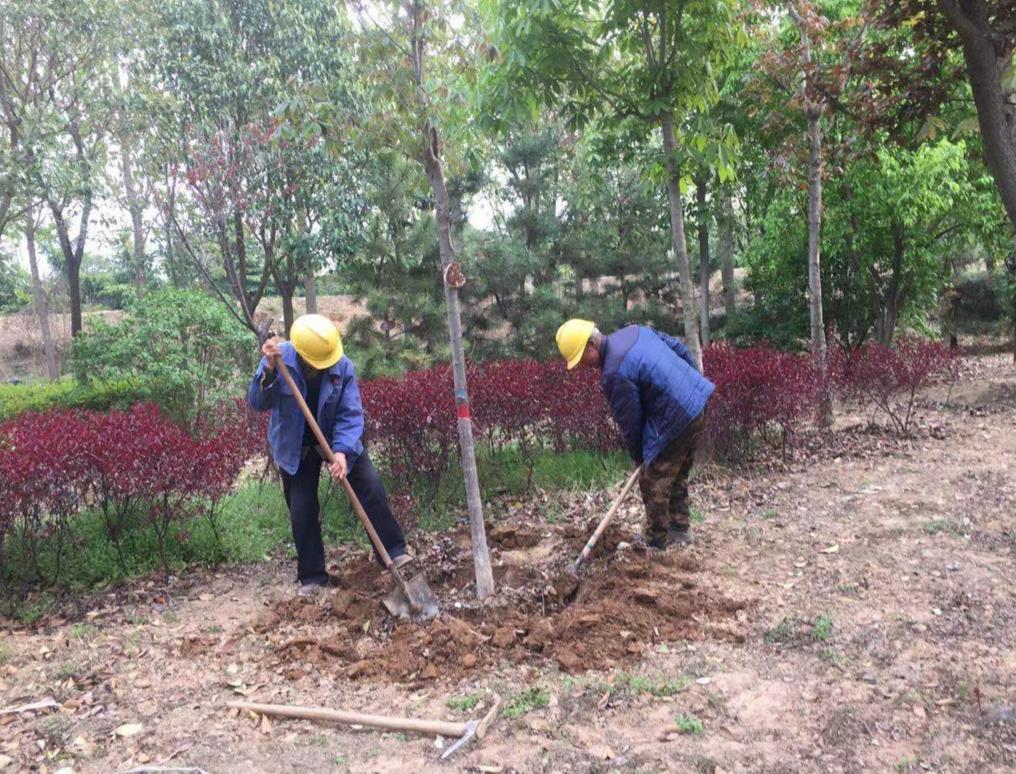 陜煤建設(shè)綠宇公司：口碑無(wú)止境  用心筑未來(lái)