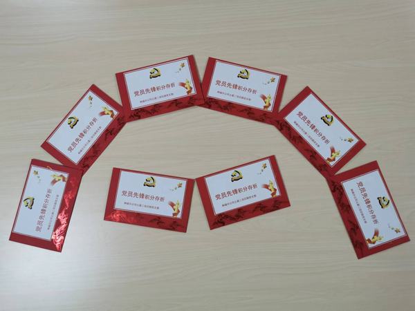 “黨員先鋒”的播種、開花與結(jié)果