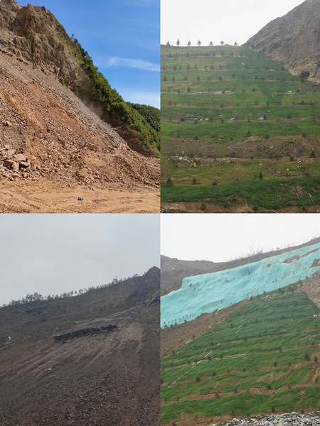 渣山變綠林，碎石堆場(chǎng)批“綠裝”