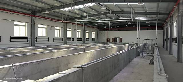 陜煤建設(shè)韓城分公司：年終歲末，西藏喜訊接踵而至！