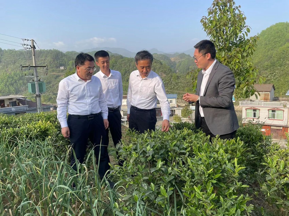 王明智深入陜煤建設(shè)定點幫扶村調(diào)研扶貧工作