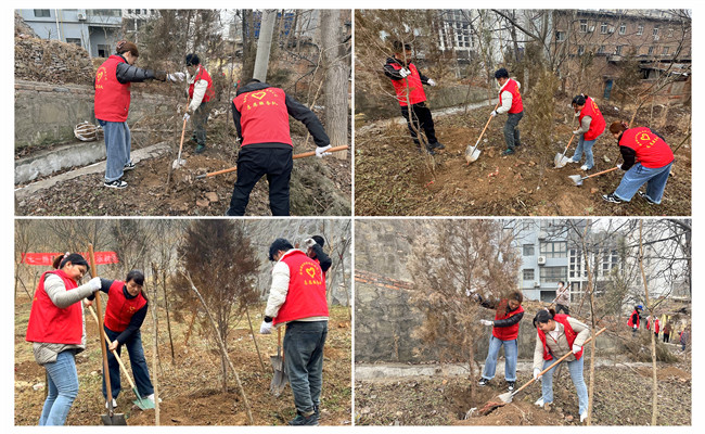 陜煤建設(shè)機(jī)電安裝公司：走，上春山，植樹去！
